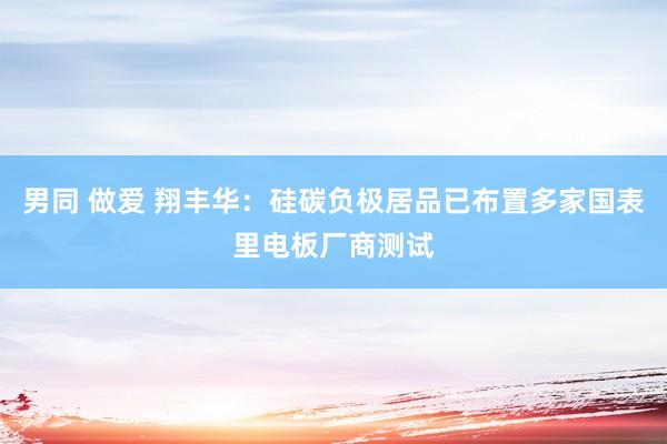 男同 做爱 翔丰华：硅碳负极居品已布置多家国表里电板厂商测试