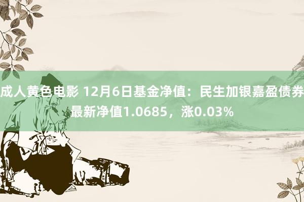 成人黄色电影 12月6日基金净值：民生加银嘉盈债券最新净值1.0685，涨0.03%