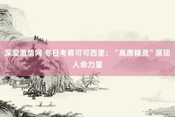 深爱激情网 冬日考察可可西里：“高原精灵”展现人命力量