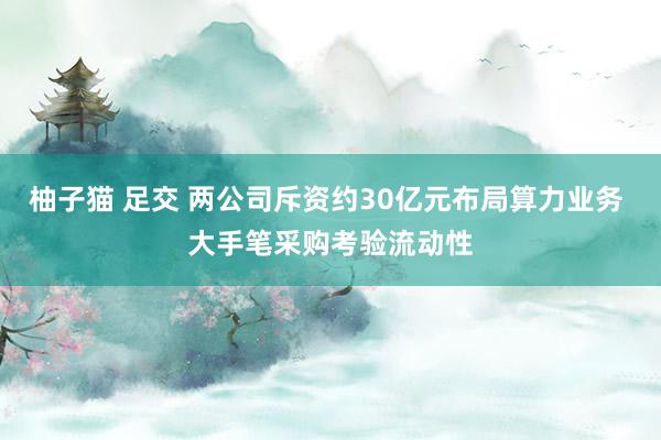 柚子猫 足交 两公司斥资约30亿元布局算力业务 大手笔采购考验流动性