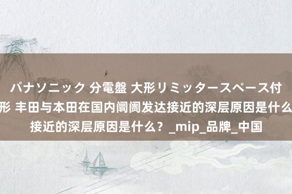 パナソニック 分電盤 大形リミッタースペース付 露出・半埋込両用形 丰田与本田在国内阛阓发达接近的深层原因是什么？_mip_品牌_中国