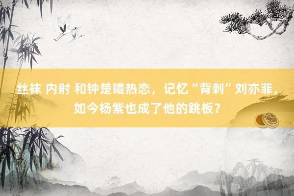 丝袜 内射 和钟楚曦热恋，记忆“背刺”刘亦菲，如今杨紫也成了他的跳板？